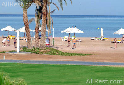 Raouf hotels International Moon 29